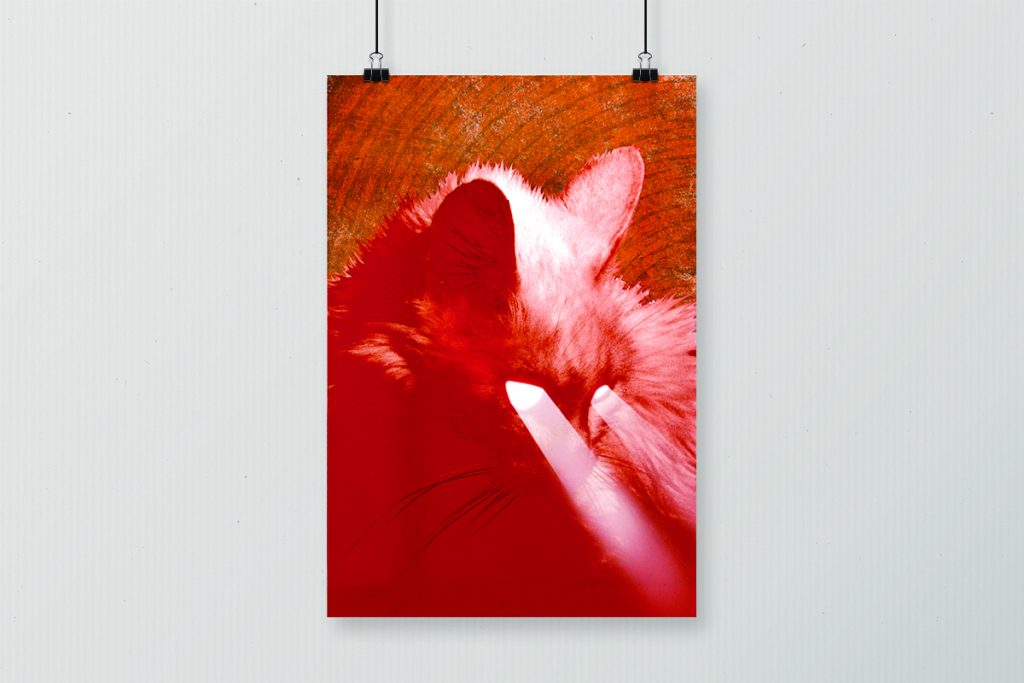 Social media infographic flyer Social media infographic flyer